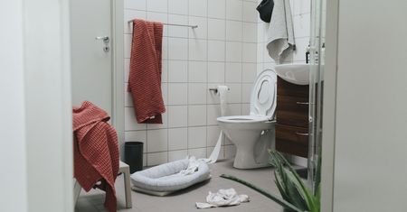 Niespodziewany gość w muszli klozetowej
