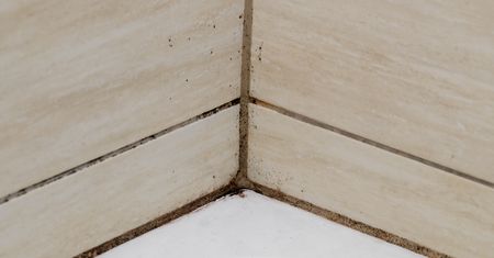 Posmaruj fugi. W 10 minut "wyżre" brud i pleśń