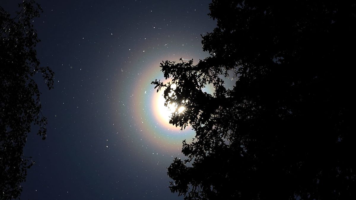 Zawieszone w powietrzu pyłki stworzyły poświatę wokół Słońca.