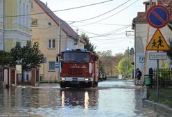 "Cofka" na Warcie. Wał o długości kilkuset metrów