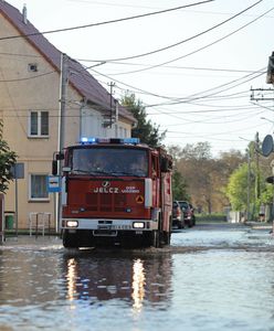 "Cofka" na Warcie. Wał o długości kilkuset metrów