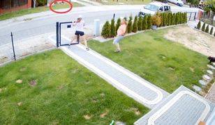 Dramat na posesji sąsiada. Wszystko nagrała kamera