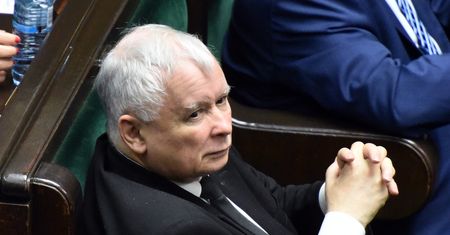 Bielan ujawnia tajemnicę Jarosława Kaczyńskiego. Prezes PiS dostaje laurki z kotami