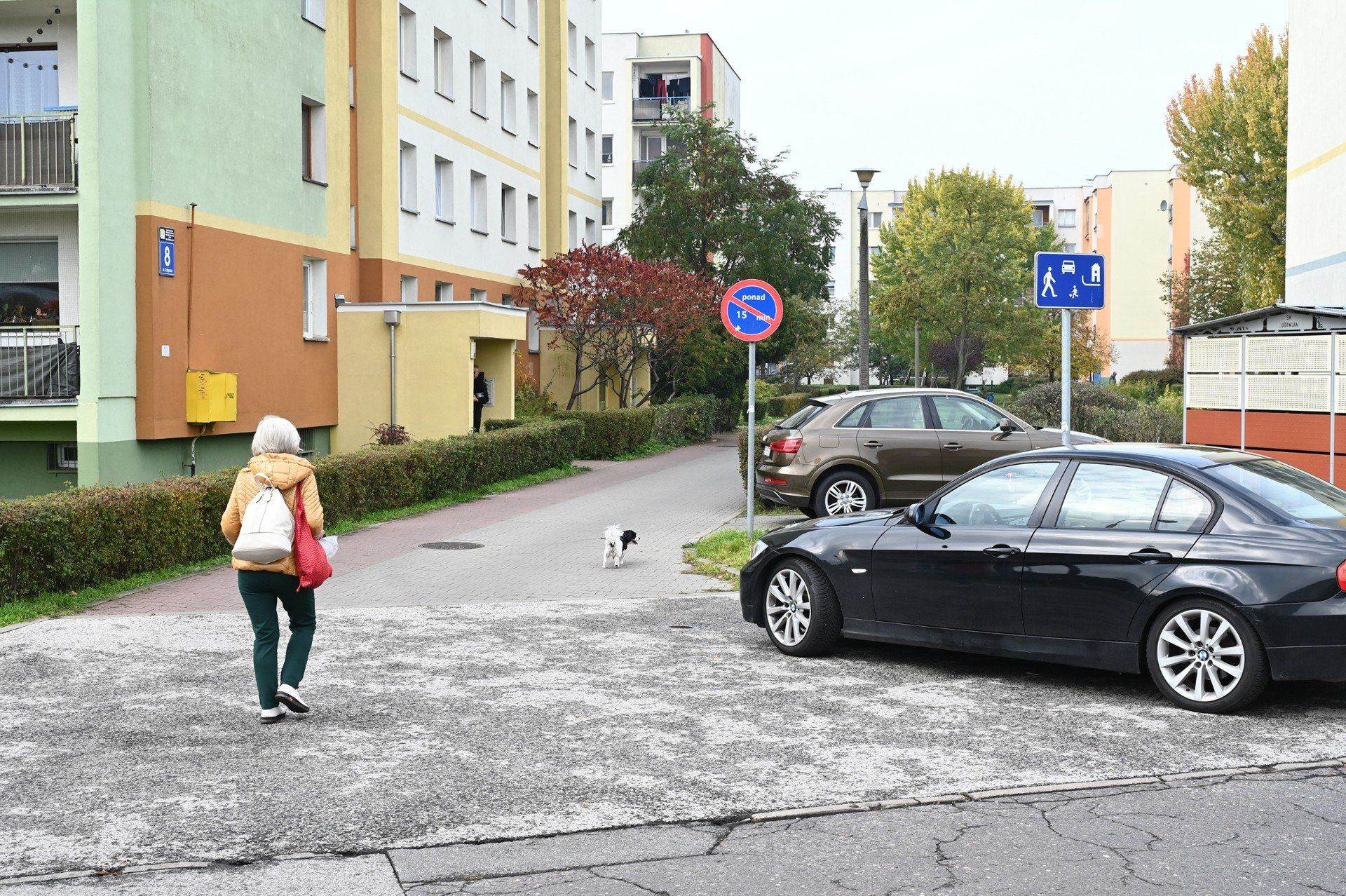 Znaki o strefie zamieszkania parę lat temu pojawiły się na wszystkich pobocznych uliczkach.