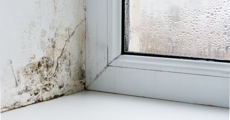 Potrzyj i wysusz. Nie ma lepszego sposobu na pleśń
