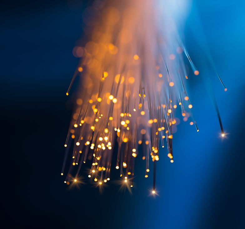 LG zainwestuje ponad 8 mld dol. w nowy zakład