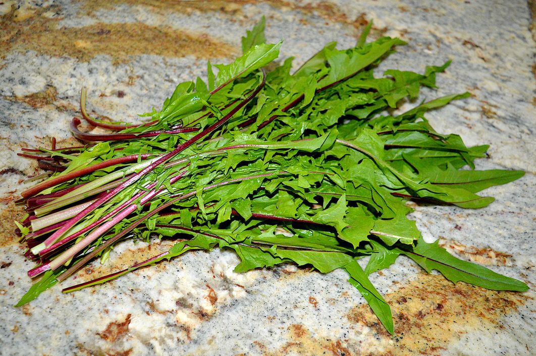 Niepozorny chwast o supermocy. Wystarczy kilka listków