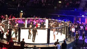 Nawet się nie spocił! Efektowne KO w wykonaniu brytyjskiego "Trybsona"