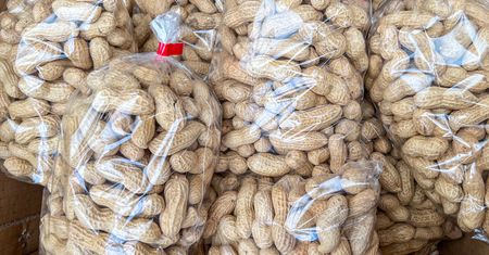 Nie tylko chia. Te produkty też są bogactwem błonnika