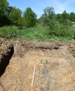 Odkrycie archeologiczne w Bożejowicach. Świadek wskazał grób nieznanego żołnierza