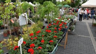 Nowa Sól: 18. edycja Wiosennych Zielonych Ogrodów nad Odrą