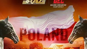 Organizacja Brave CF zadebiutowała w Polsce. Sprawdź wyniki gali w Koninie