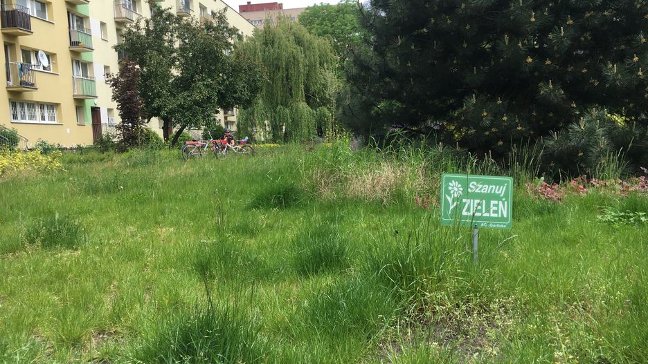 Warszawa. Pierwsze strzyżenie miejskich trawników lada dzień. Ale łąki zostają