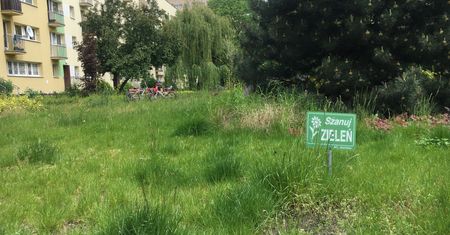Warszawa. Kosiarki ruszają na pierwszą misję. Ale łąki kwietne zostają