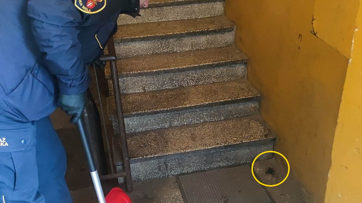 Kobieta wystraszyła się "niebezpiecznego pająka"