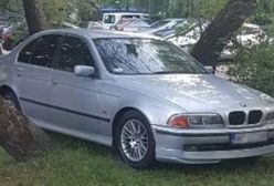 Mistrz złego parkowania. "Nagroda" od Straży Miejskiej