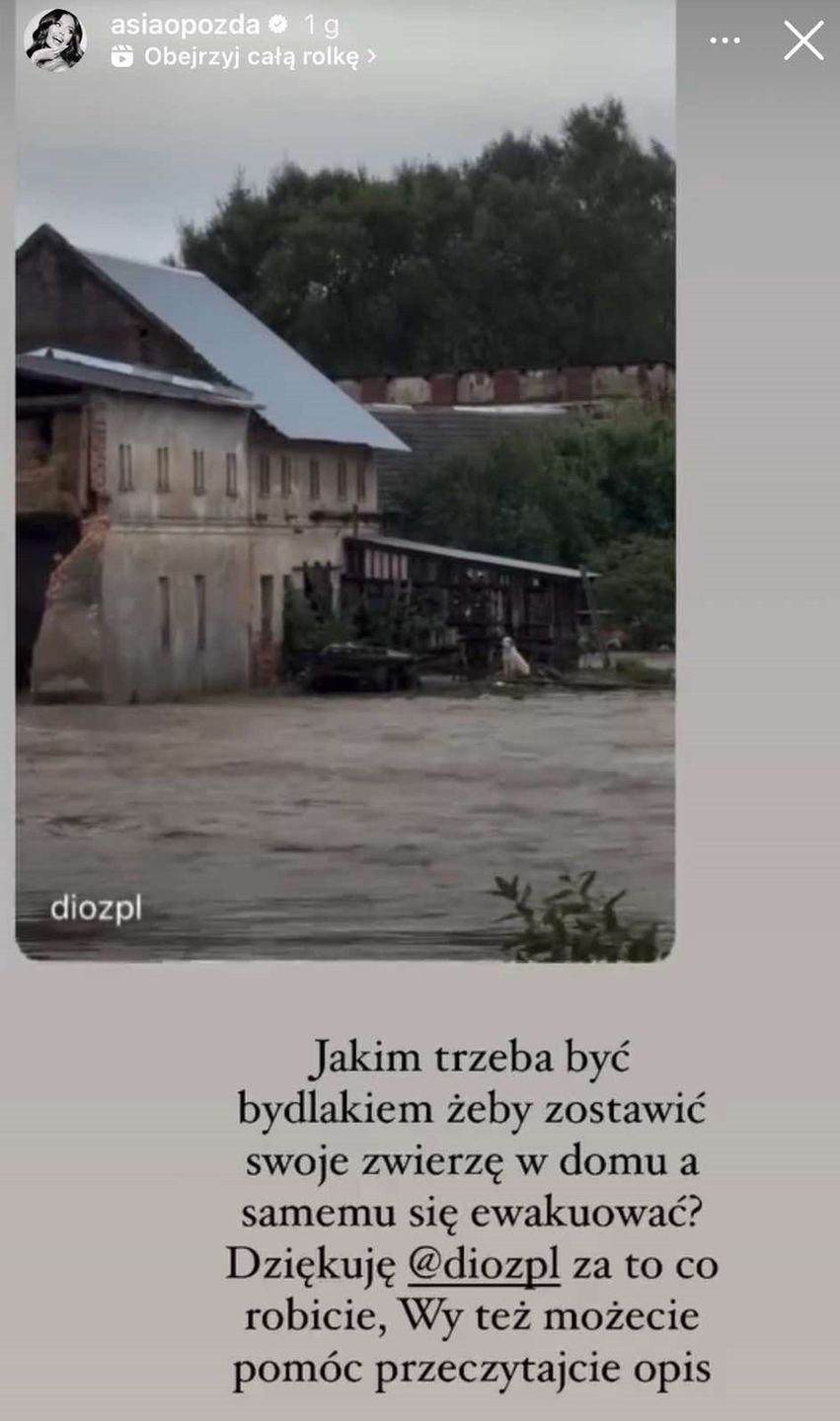 Joanna Opozda przejęła się losem zwierząt w zalanych miastach