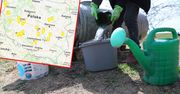 Upały już narobiły problemów. 25 gmin apeluje do swoich mieszkańców. Straszą też karami