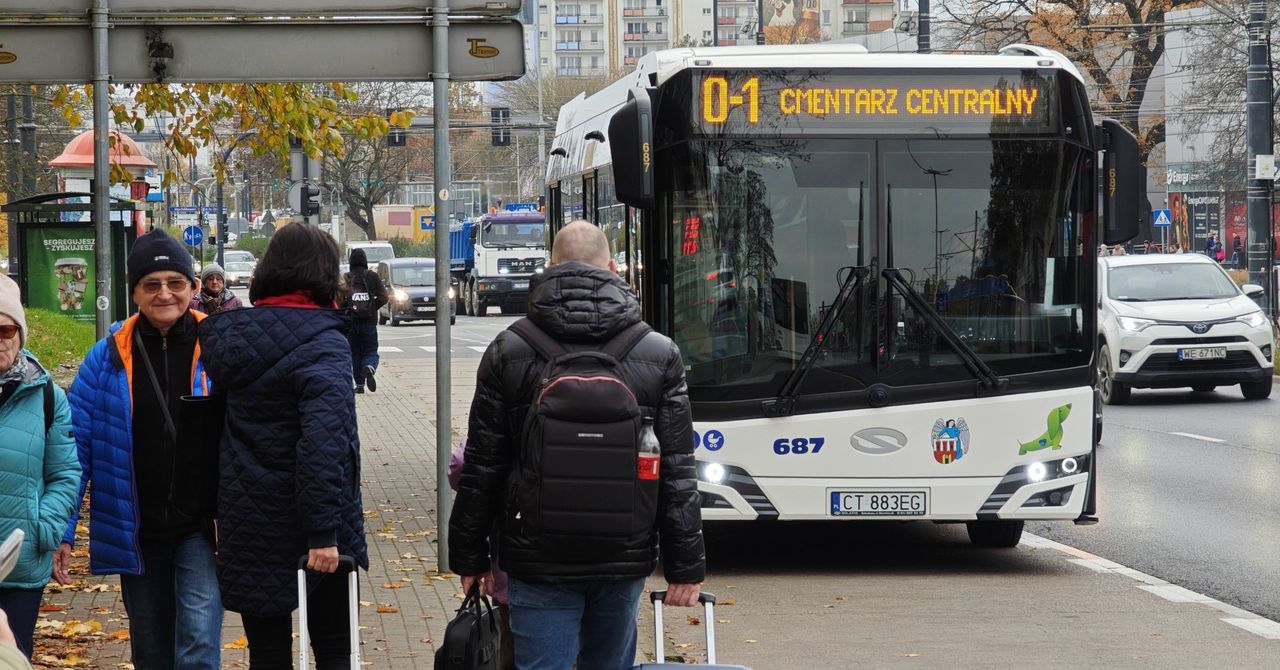 Toruń: Wszystkich Świętych. Tak kursują tramwaje i autobusy MZK
