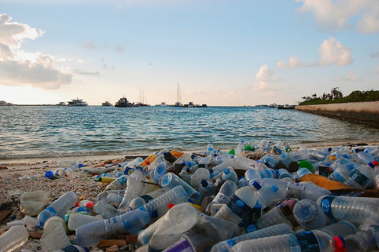 Katastrofa ekologiczna nieunikniona? Naukowcy szacują: 710 mln ton plastiku do 2040 roku