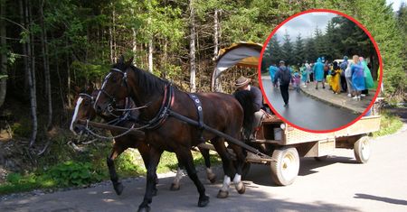 "Wstyd". Oto co się dzieje przed Morskim Okiem