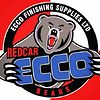 Redcar Bears