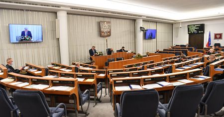 Ustawa o ochronie granicy. Senat zdecydował