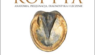 Kopyta. Anatomia, pielęgnacja, diagnostyka i leczenie