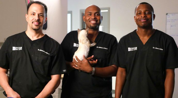 Z życia weterynarzy