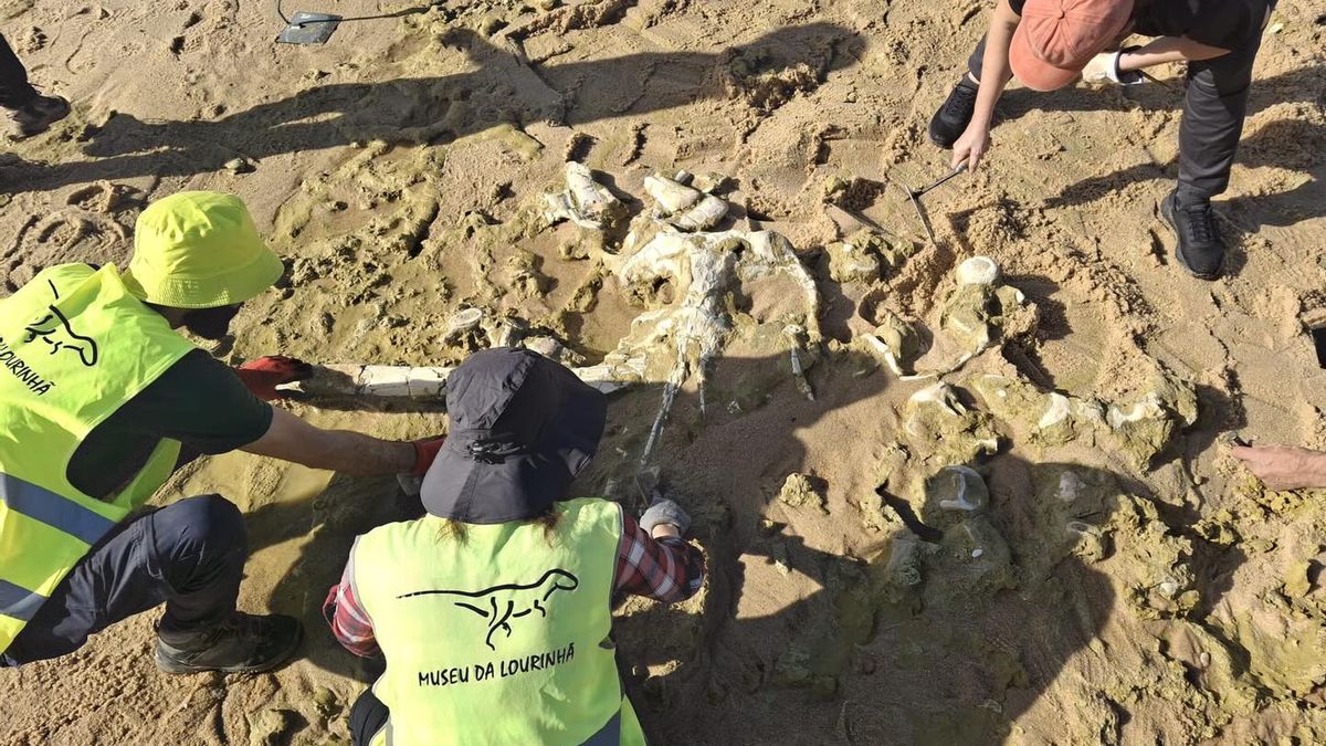 Wiatr i deszcz odsłaniają ślady przeszłości