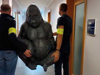 Płock: Uprowadzenie figury goryla z happy endem. Wrócił do właścicieli