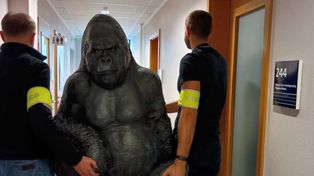 Płock: Uprowadzenie figury goryla z happy endem. Wrócił do właścicieli