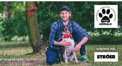 OTOZ Animals Inspektorat Warszawa uwrażliwia na cierpienie zwierząt w kampanii billboardowej
