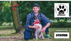 OTOZ Animals Inspektorat Warszawa uwrażliwia na cierpienie zwierząt w kampanii billboardowej