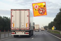 14 tys. kg cebuli z Rosji w rękach służb. Wykryto poważny błąd