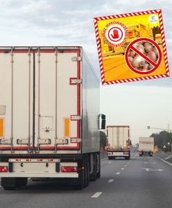 14 tys. kg cebuli z Rosji w rękach służb. Wykryto poważny błąd