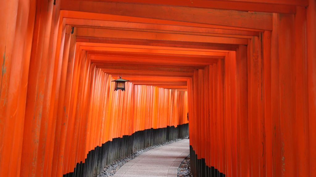 Dzieci zaprezentowały niesamowicie wysoki poziom w konkursie National Geographic 1