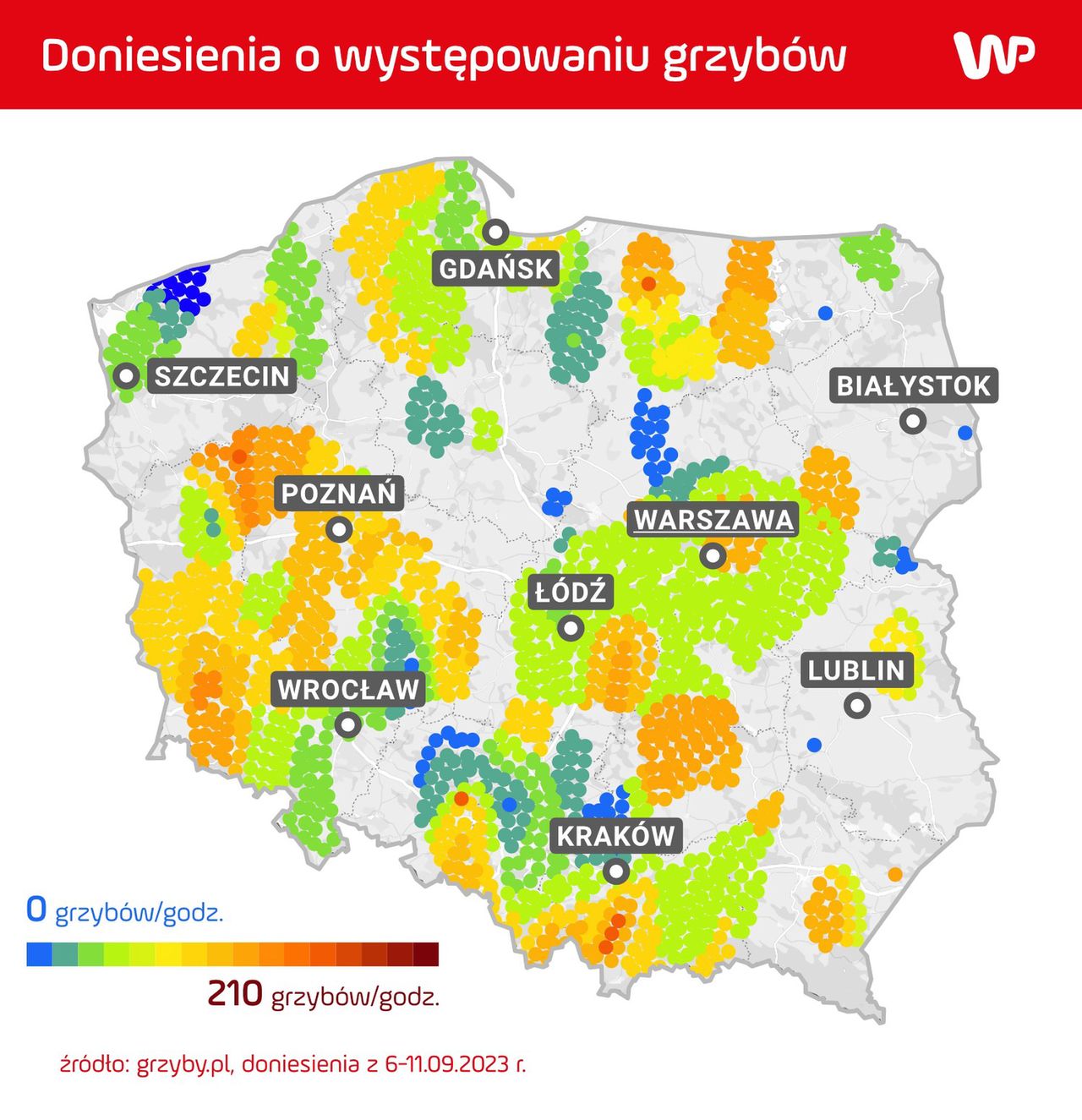 Występowanie grzybów w ostatnich dniach na podstawie doniesień grzybiarzy