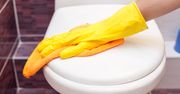 Przetrzyj tym deskę sedesową. Zapomnisz o żółtych plamach
