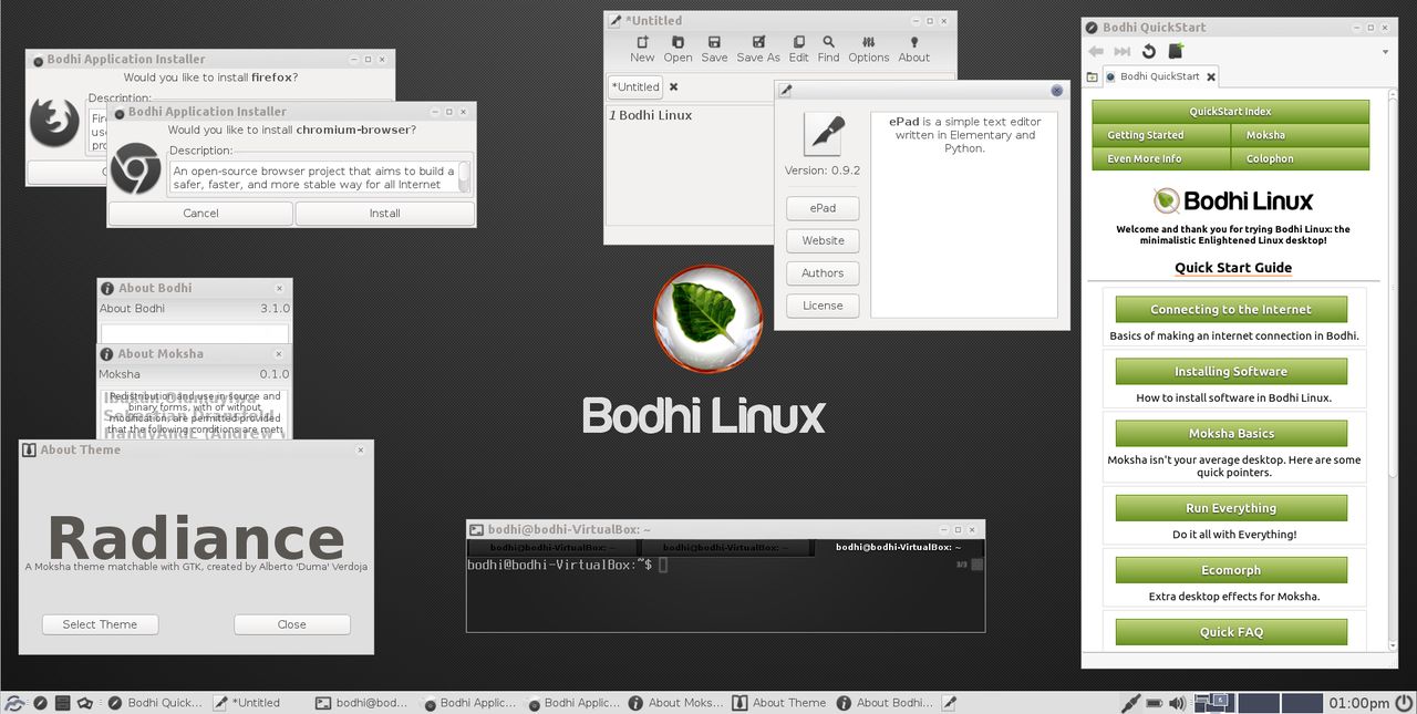 Bodhi Linux z pulpitem Moksha