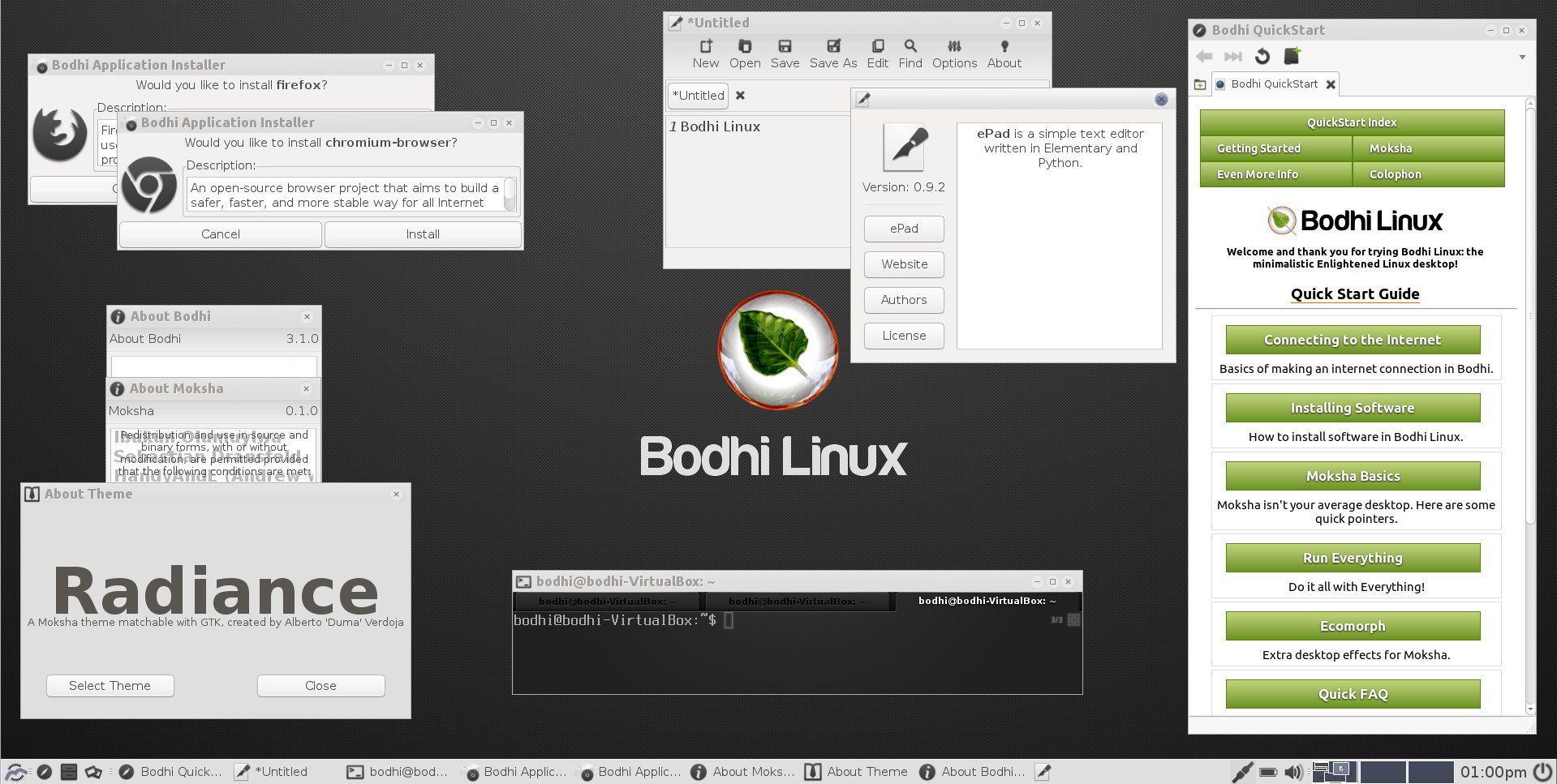 Bodhi Linux z pulpitem Moksha