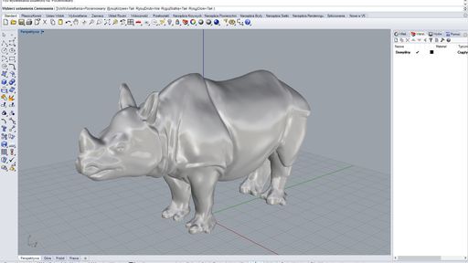 Rhino