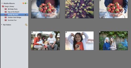 Adobe Photoshop Elements 12 i Premiere Elements 12 połączą wszystkie urządzenia w jedną galerię