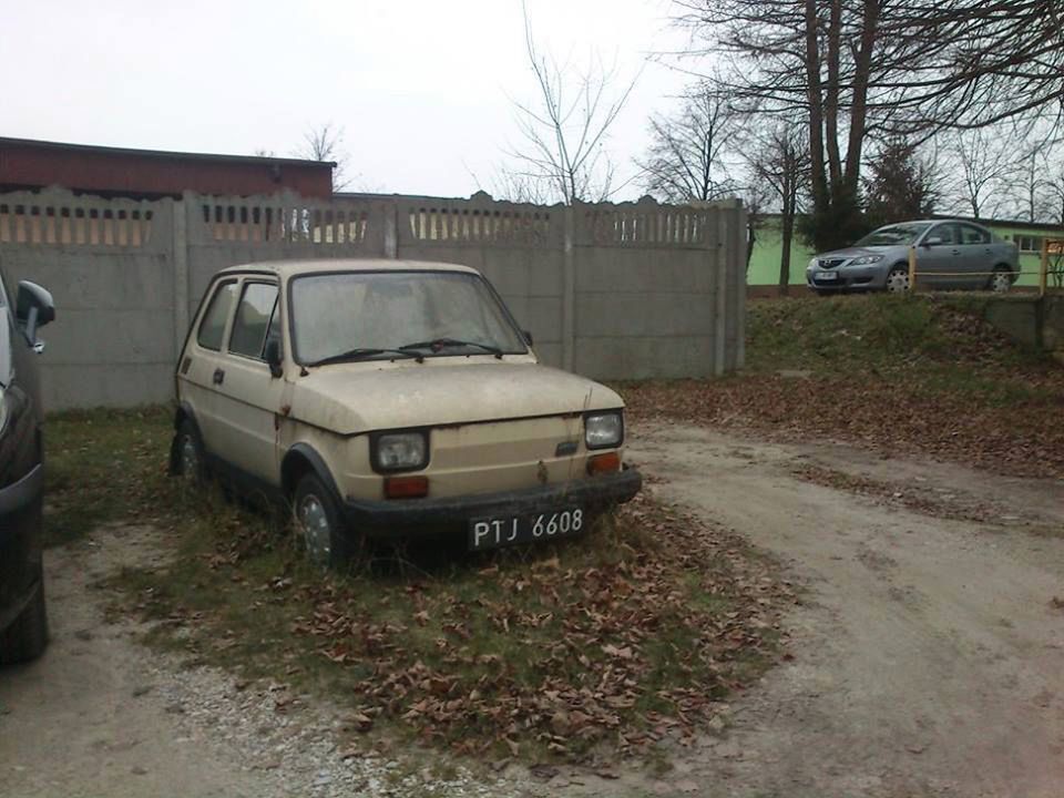 Obraz
