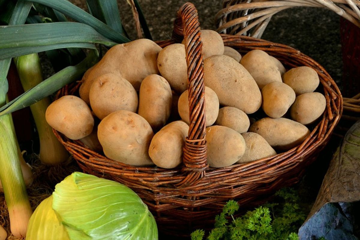 Ziemniaki powinny być przechowywane w suchym i chłodnym miejscu