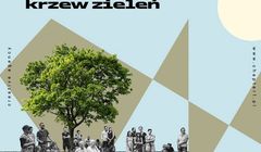 Agencja Chapter1 „Traw beton, krzew zieleń”