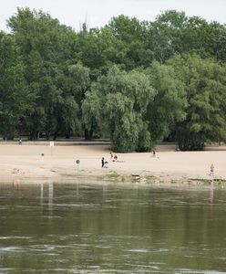 Zakaz "do odwołania". Kąpielisko na Wiśle zamknięte