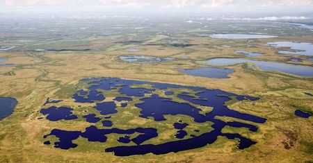 Największa tundra świata może zniknąć. Naukowcy wskazują datę