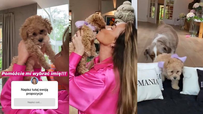 Joanna Przetakiewicz zaadoptowała psa