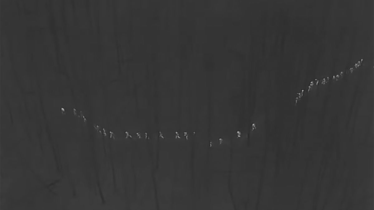 Polscy funkcjonariusze pokazali nagranie z granicy polsko-białoruskiej